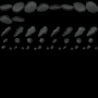 esp215_0076.png