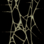 em1113_0156.png