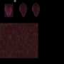 i66v_0262.png
