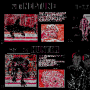 slide_0042.png