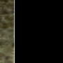 em110f_0152.png