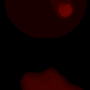 room1050_0366.png