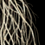 em100e_0110.png