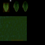 i64v_0260.png