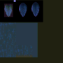 i65v_0261.png