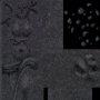 room1050_0368.png