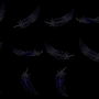 room1170_0653.png